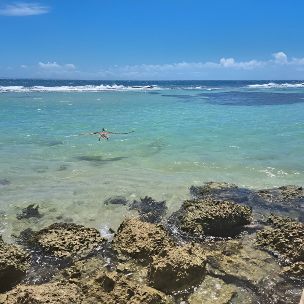 Saint francois plage anse 